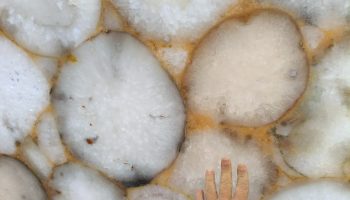 Imagem do WhatsApp de 2025-06-09 à(s) 18.53.48_86784bf8