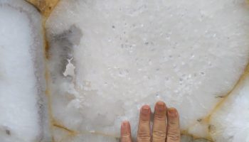 Imagem do WhatsApp de 2025-06-09 à(s) 18.53.49_6369dd16