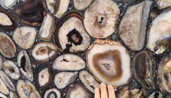 Imagem do WhatsApp de 2025-06-09 à(s) 19.00.38_c671a9ad