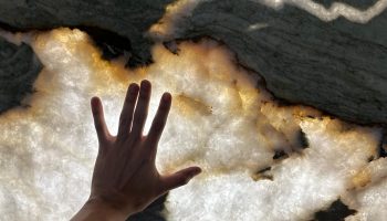 Imagem do WhatsApp de 2025-06-09 à(s) 19.23.39_4cf578a1